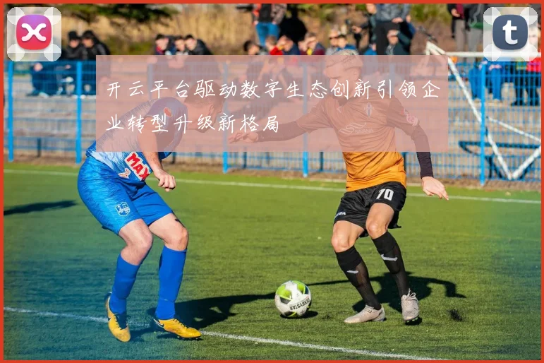 开云平台驱动数字生态创新引领企业转型升级新格局