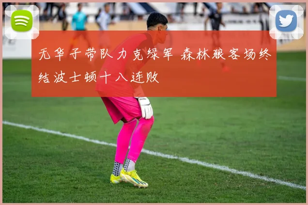 无华子带队力克绿军 森林狼客场终结波士顿十八连败
