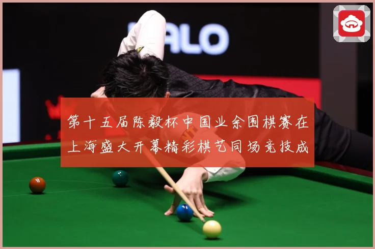 第十五届陈毅杯中国业余围棋赛在上海盛大开幕精彩棋艺同场竞技成长观察