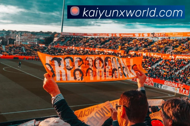 开云平台展示图